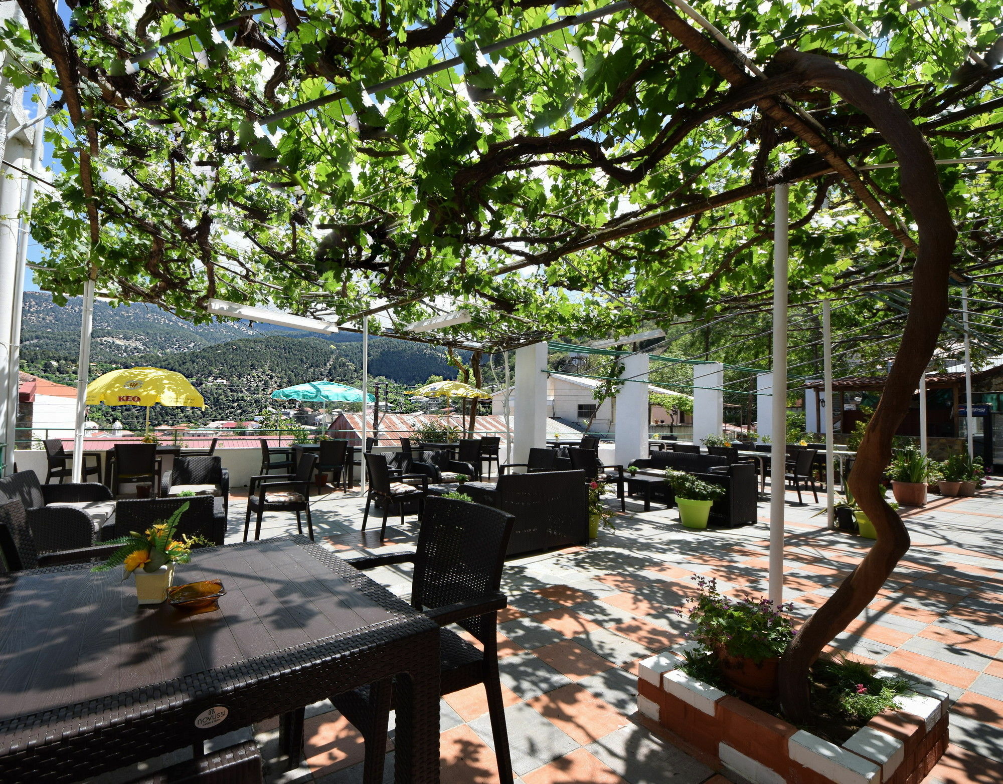 Christys Palace Hotel Pedhoulas Exterior foto