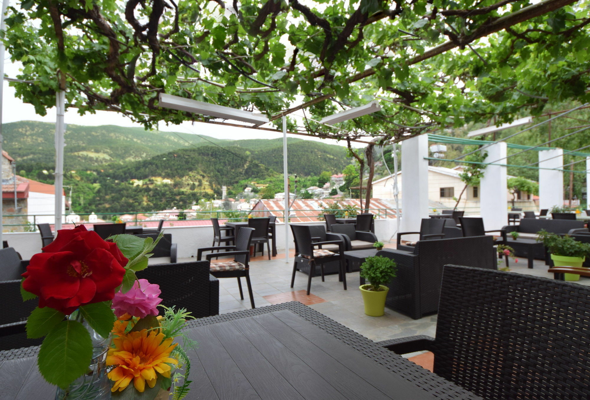 Christys Palace Hotel Pedhoulas Exterior foto